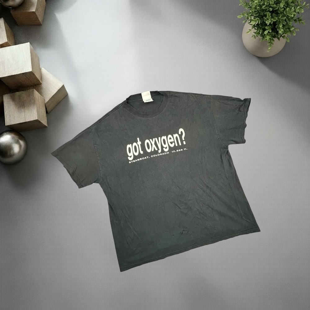 Vintage 90s Tennessee River Got Oxygen Steamboat Colorado T-Shirt XL Black Y2K‎